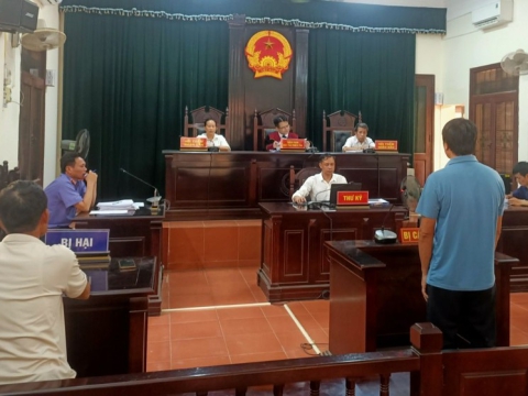 Ra tòa vì hủy hoại gần 300 cây bưởi