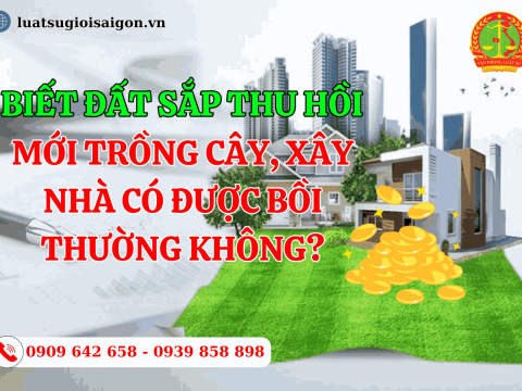 Biết đất sắp thu hồi mới trồng cây, xây nhà  có được bồi thường không?