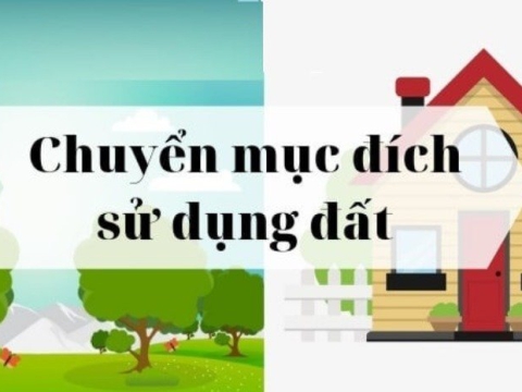 MẪU ĐƠN XIN CHUYỂN MỤC ĐÍCH SỬ DỤNG ĐẤT MỚI NHẤT 2025