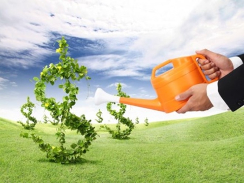 Người nước ngoài muốn đầu tư vào tổ chức kinh tế ở nước ta thì cần điều kiện gì?