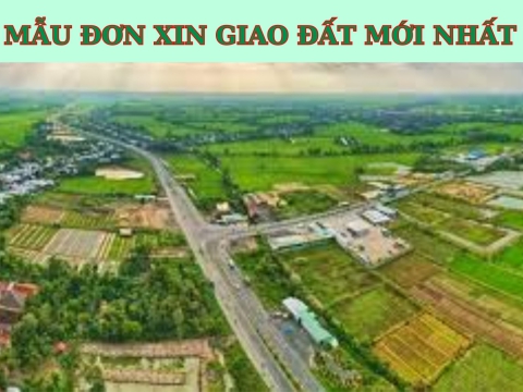 MẪU ĐƠN XIN GIAO ĐẤT MỚI NHẤT