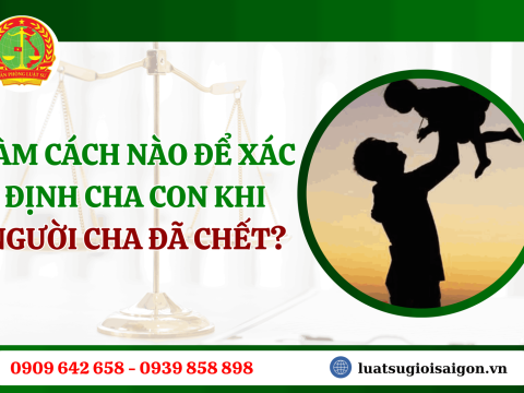 Làm cách nào để xác nhận cha cho con khi người cha đã chết?