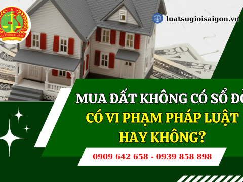 Mua đất không có sổ đỏ có vi phạm pháp luật hay không?