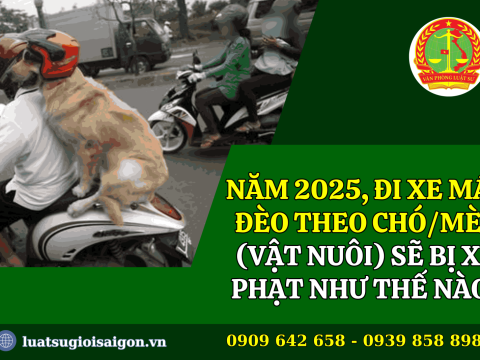 Năm 2025, đi xe máy đèo theo chó/mèo (vật nuôi) sẽ bị xử phạt như thế nào?