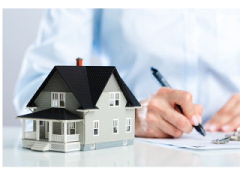 Khi được chỉ định làm người quản lý di sản, thì người quản lý di sản có nghĩa vụ gì?