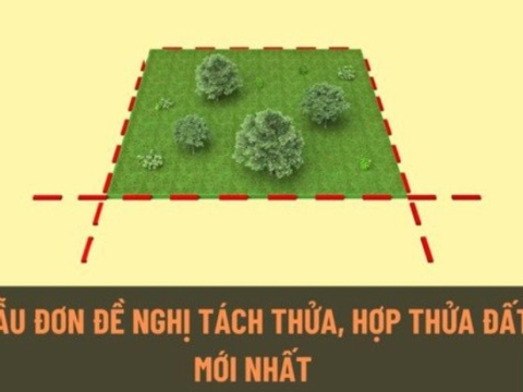 MẪU ĐƠN ĐỀ NGHỊ TÁCH THỬA ĐẤT, HỢP THỬA ĐẤT MỚI NHẤT 2025