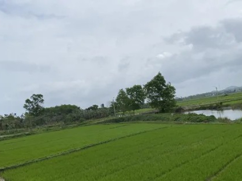 Thi hành án 'bó tay' vụ chia di sản thừa kế, tòa sau đó hủy án