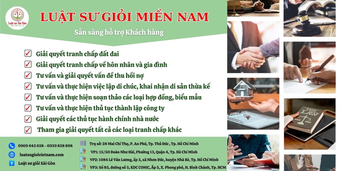 luat-su-gioi-Mien-Nam-Viet-Nam